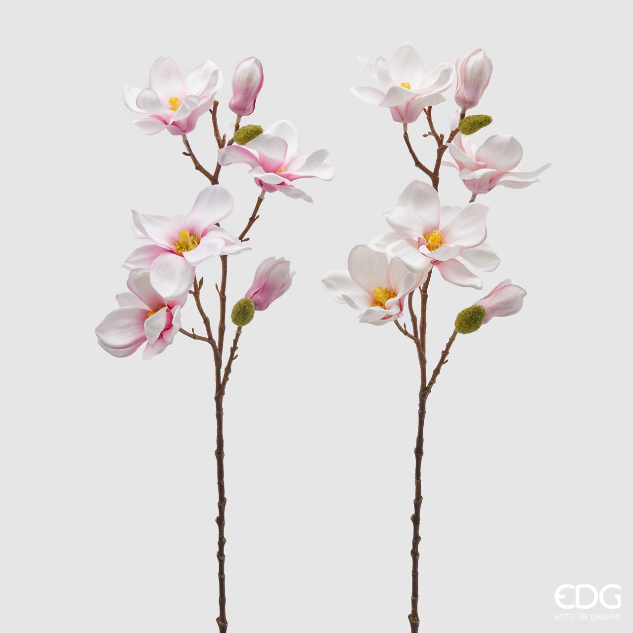 Magnolia Olis, colore rosa, H. 65cm. EDG