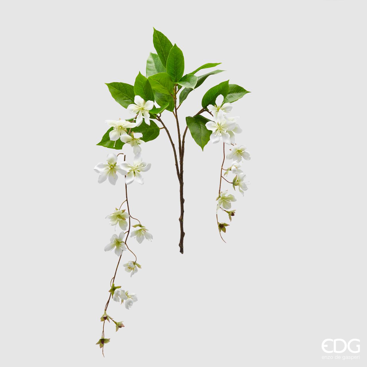 Clematis Viticella ramo x2, colore bianco, H. 105cm. EDG