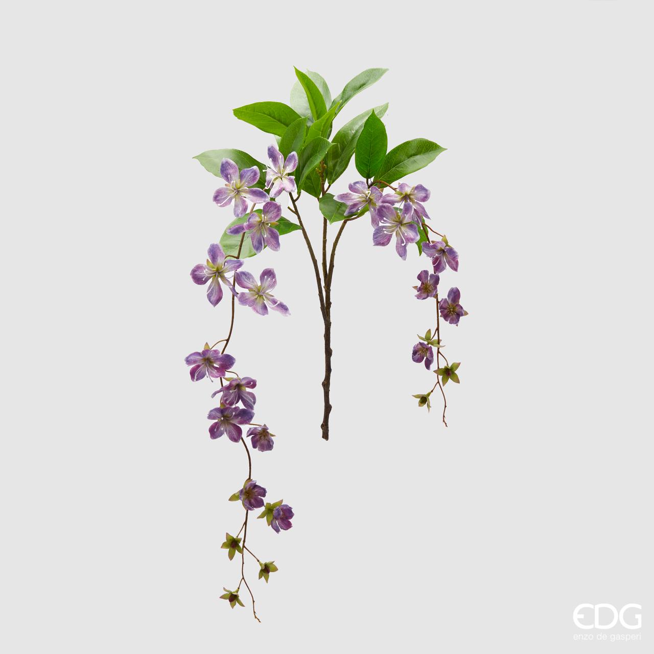 Clematis Viticella ramo x2, colore lavanda, H. 105cm. EDG
