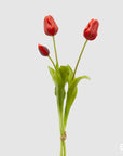 Tulipano Olis, bouquet da 3 tulipani, colore rosso, H. 48 cm. EDG