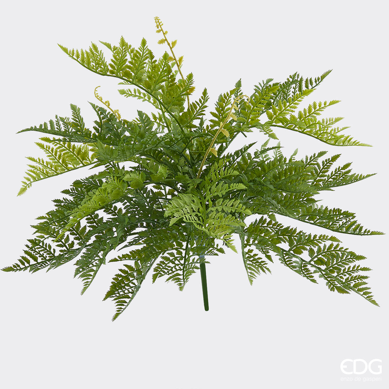 Mazzo foglie felce West H.51 cm. EDG