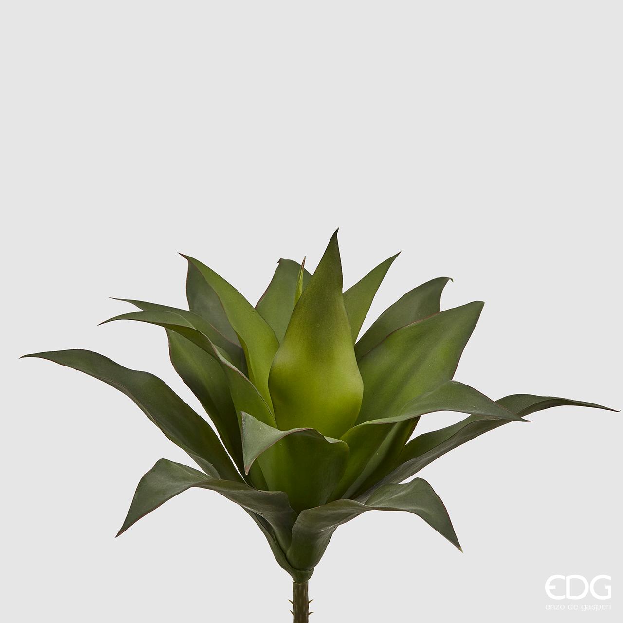 Pianta Agave West H.28cm. (15 foglie). EDG