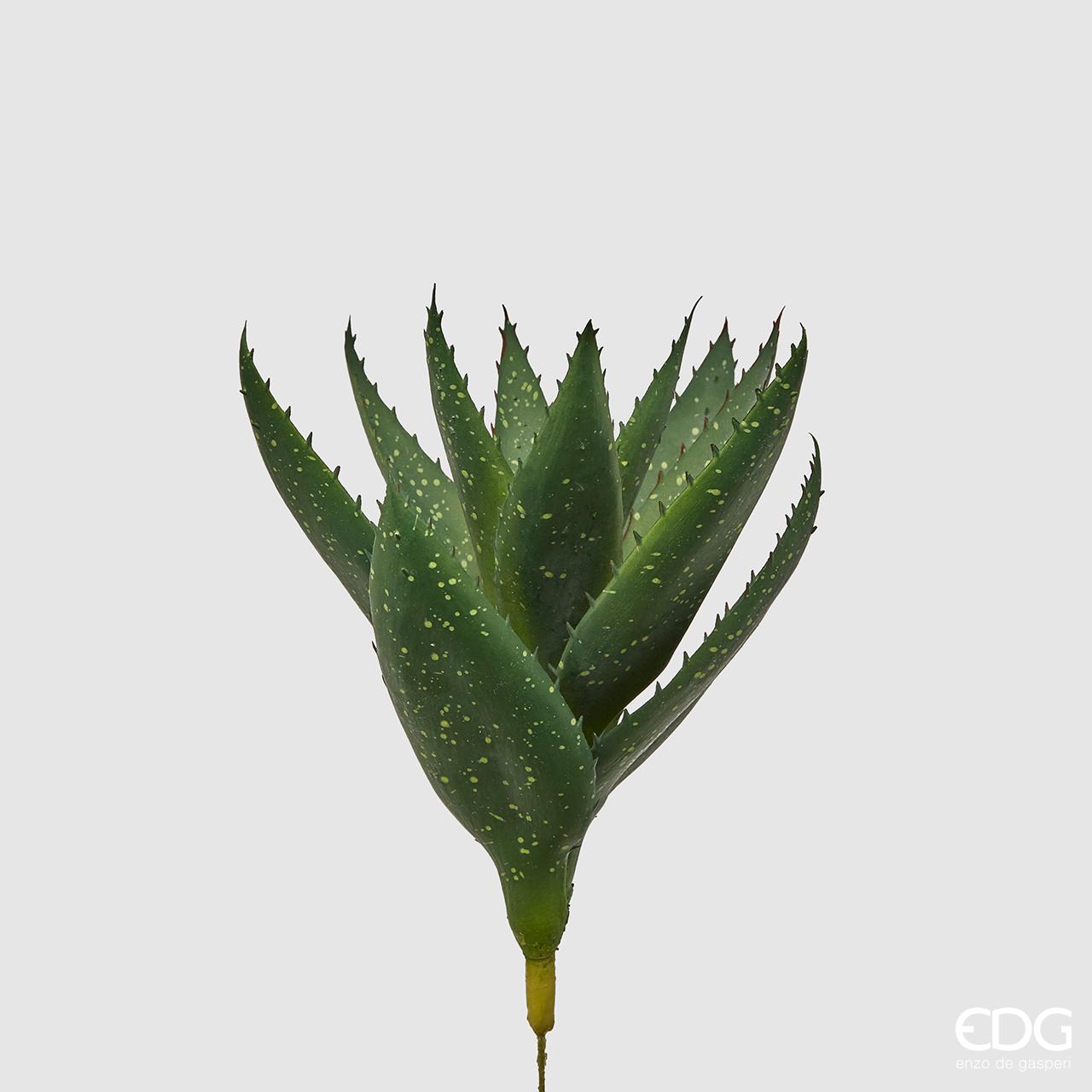 Foglie aloe West H.30 cm. EDG