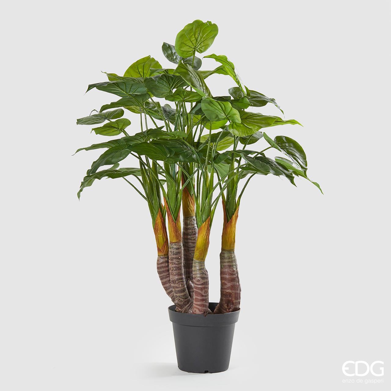 Pianta Filodendro con vaso H.120cm. (48 foglie). EDG