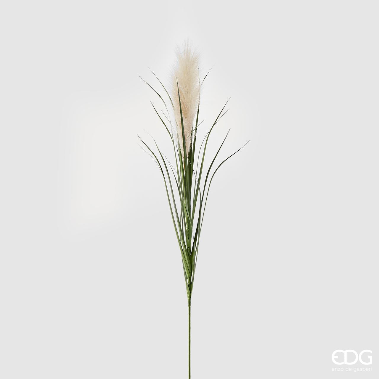 Pampas West ramo con 2 steli H. 110cm. EDG