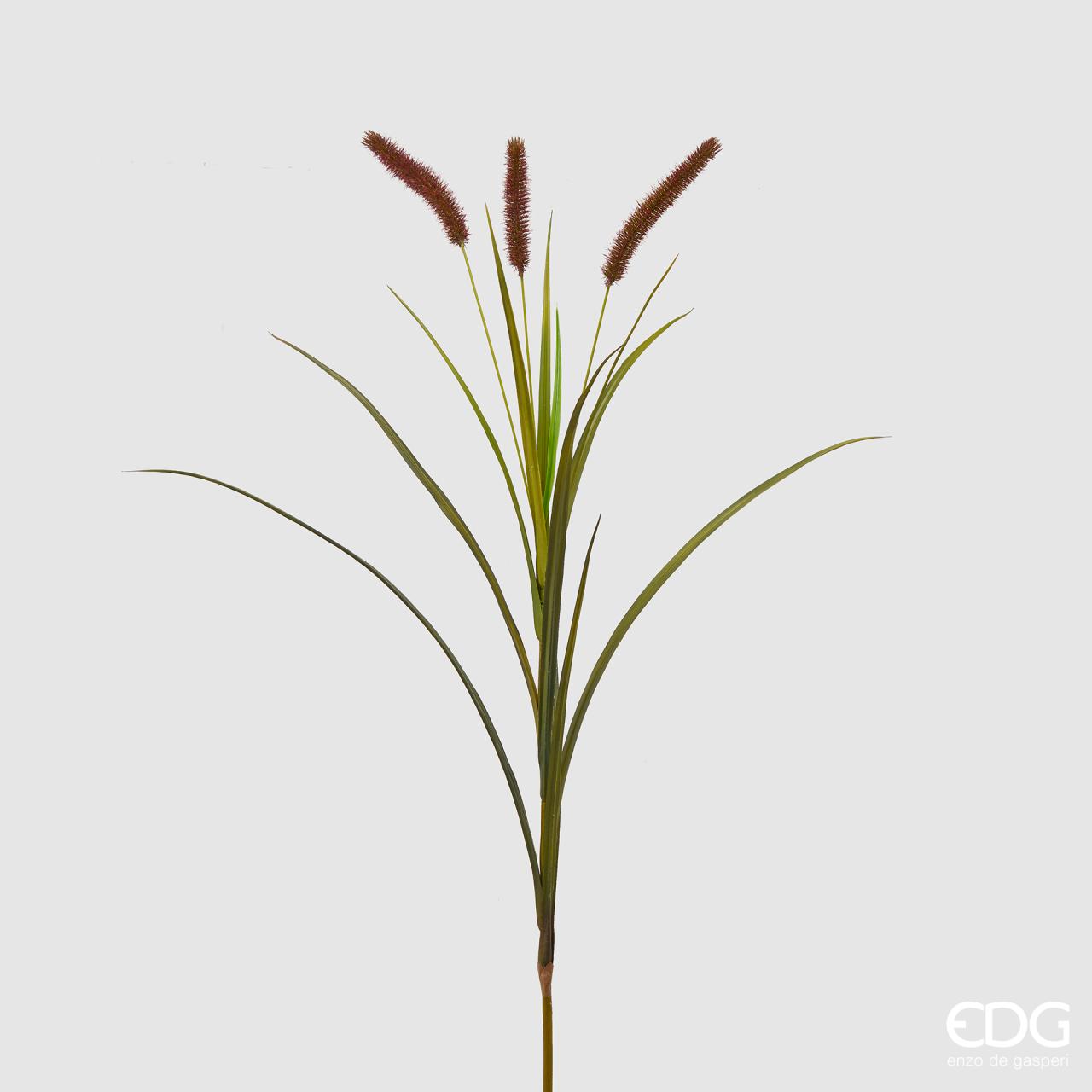 Festuca ramo x3, colore bordeaux e verde, H. 115cm. EDG