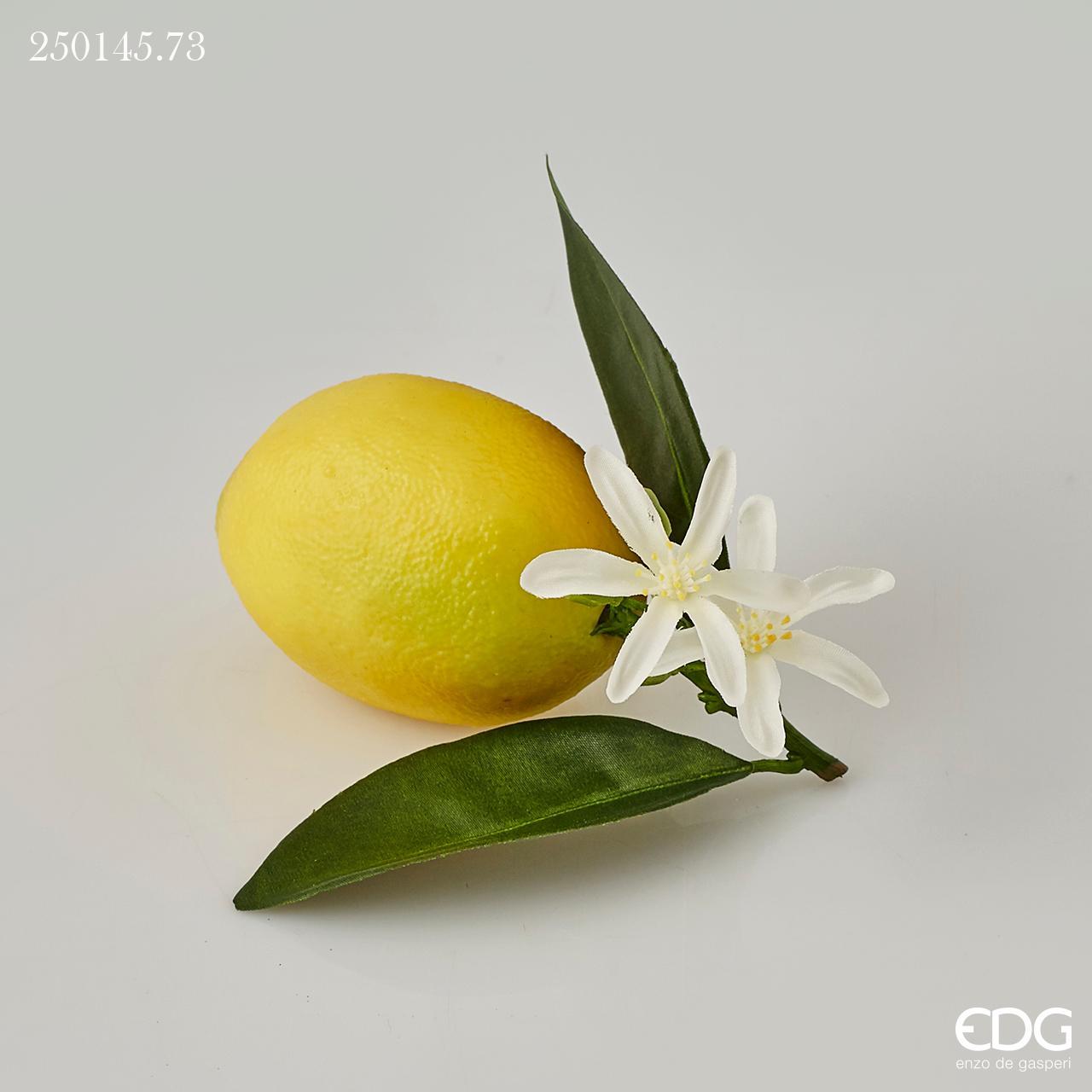 Limone Duke con fiore e foglie, 12cm. EDG