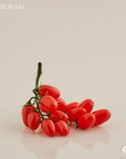 Grappolo pomodori ciliegini, H.22 cm. EDG