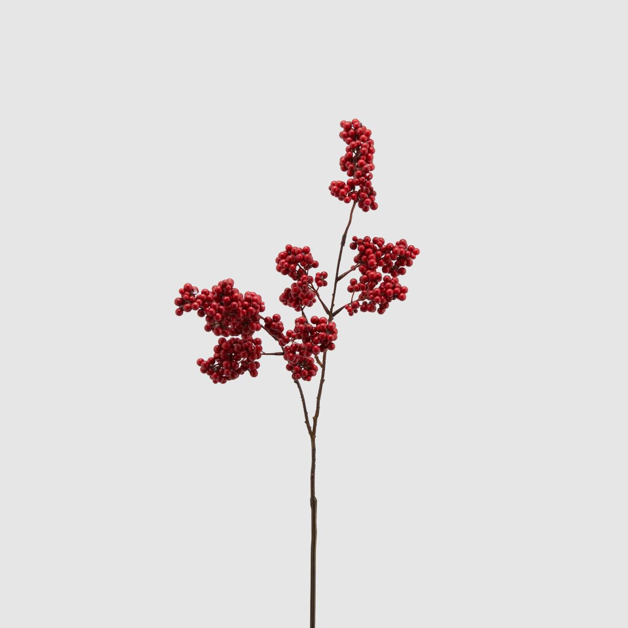 Ramo di bacche "Ilex Bell", decorazione floreale natalizia. EDG