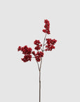 Ramo di bacche "Ilex Bell", decorazione floreale natalizia. EDG