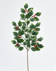 Ramo di agrifoglio e bacche "Prix", decorazione floreale natalizia. EDG