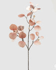 Eucalipto ramo velluto, colore rosa pesca chiaro, H. 82 cm. EDG