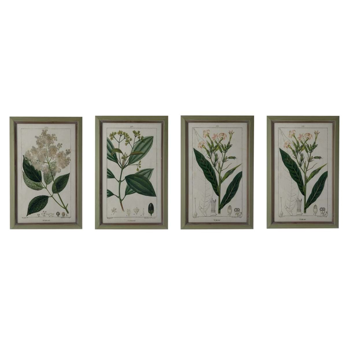 Quadro con fiori, cornice verde in legno, disegni assortiti. Blanc Mariclò