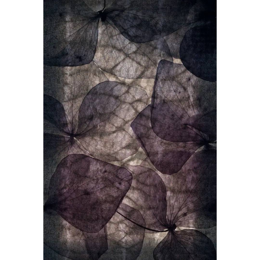 Tappeto per interno "Ortensia", misura 153X225 cm.