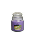 Candela in giara media, profumazione lavanda e citronella. Price's