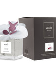 Profumatore d'ambiente "Orchid Diffuser" fiori di cotone, 100ml. Muhà