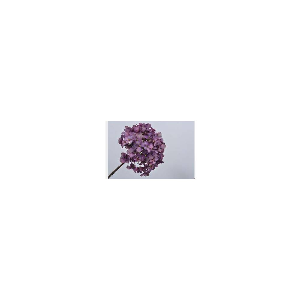 Ortensia lavanda H.68cm. Silk-ka