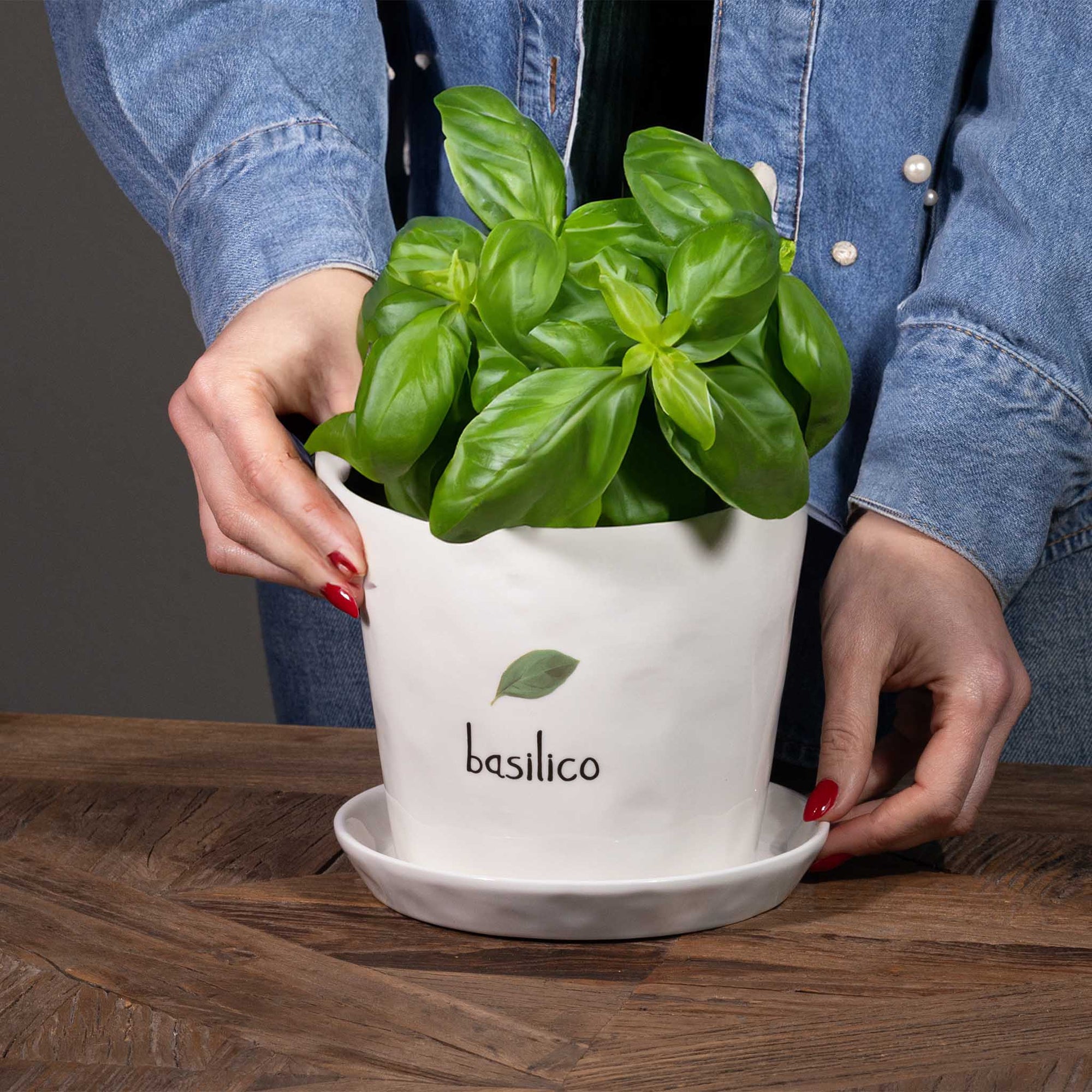Vaso con sottovaso in gres decoro &quot;Basilico&quot; bianco con scritta in nero. Simple day