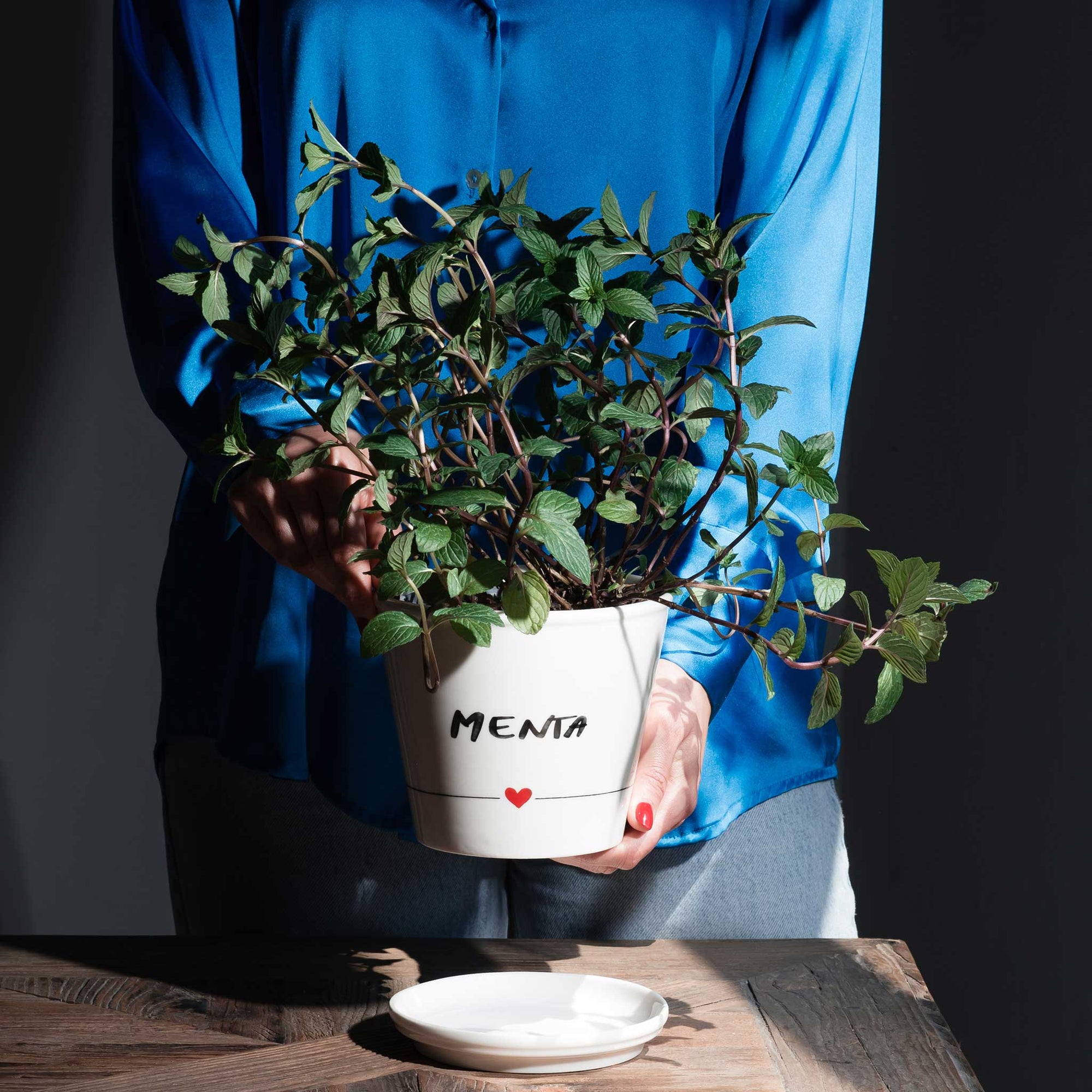 Vaso Menta con sottovaso in gres decoro "Menta" bianco con scritta in nero. Simple day