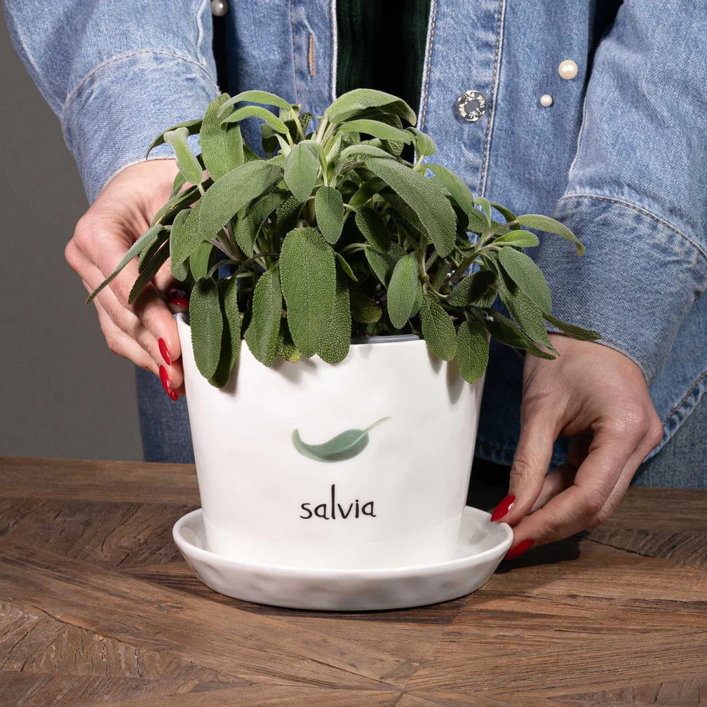 Vaso con sottovaso in gres decoro "Salvia" bianco con scritta in nero. Simple day