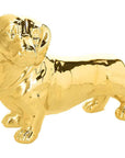 Bassotto colore Oro 27x15 cm. H20 Doggie, LINEA DOGGIE. Tognana